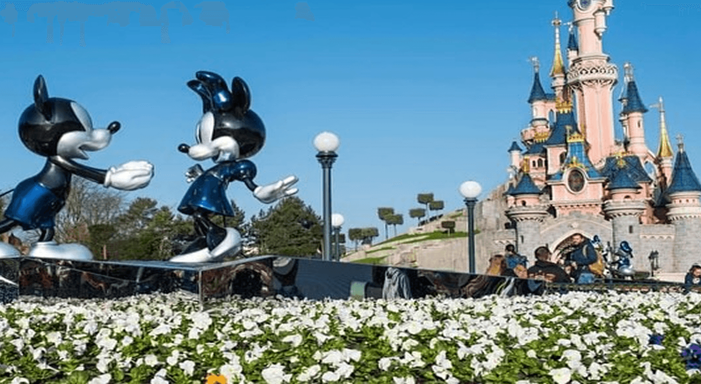 Disney Transfer Background